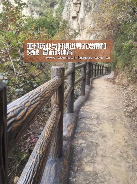 ayx下载
