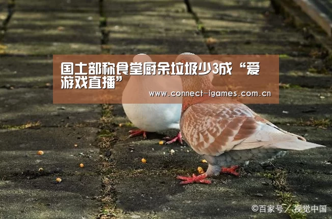 国土部称食堂厨余垃圾少3成“爱游戏直播”(图1) 爱游戏体育