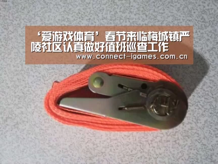 ‘爱游戏体育’春节来临梅城镇严陵社区认真做好值班巡查工作(图1) 爱游戏体育