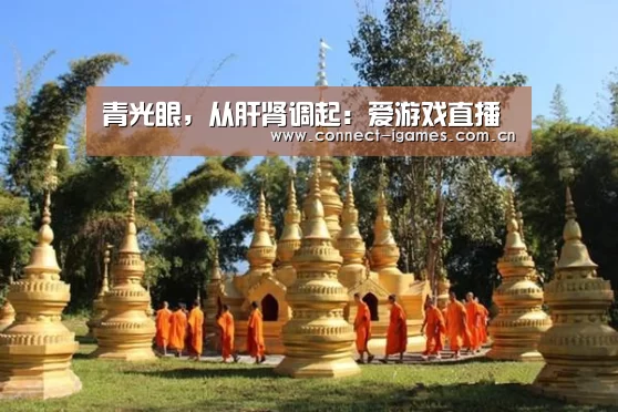 青光眼,从肝肾调起:爱游戏直播(图2) 爱游戏体育